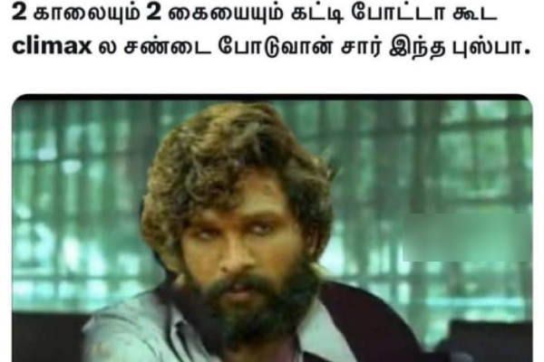 pushpa pushpa 2 kanguva cinema memes 2