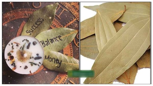 bay of leaf bay of leaves pariharam