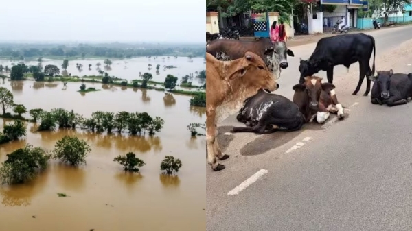 weather tamilnadu weatherman summer weather news