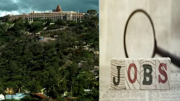 jobs government jobs palani murugan temple