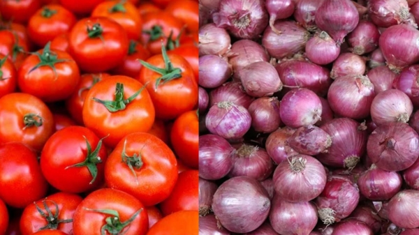 onion dindigul business