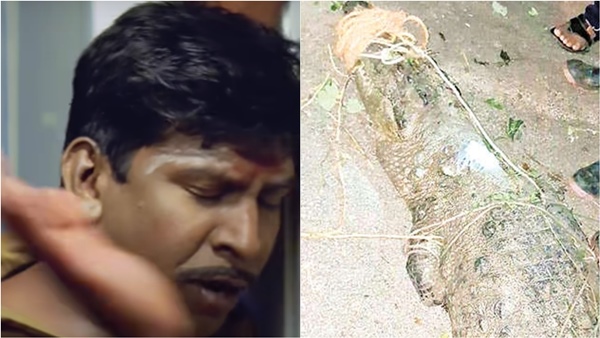 cuddalore chidambaram crocodile cuddalore chidambaram crocodile