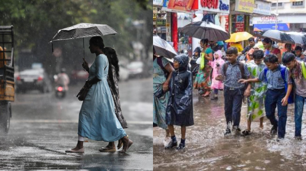 schools colleges rain