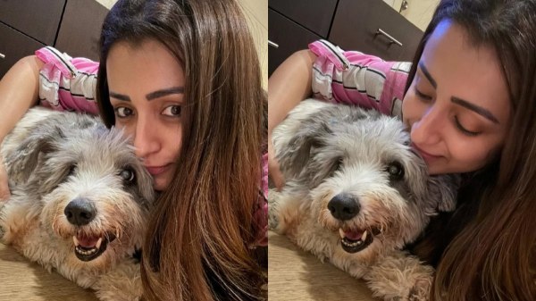 trisha cinema trisha cinema