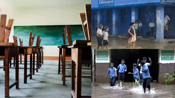 schools schools