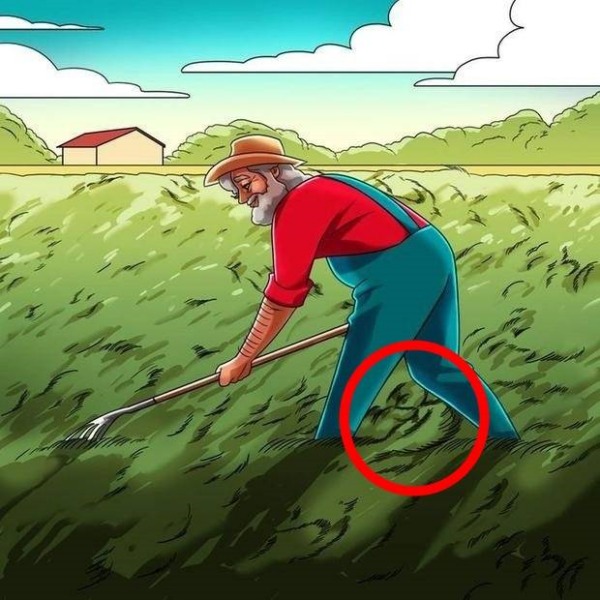 optical illusion offbeat trend