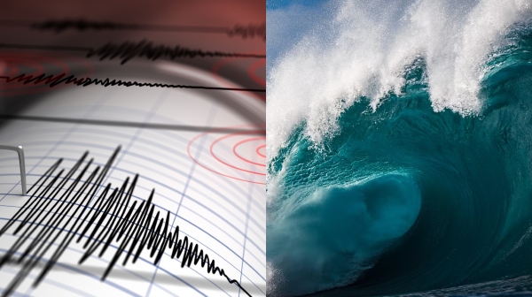 earthquake new zealand tsunami