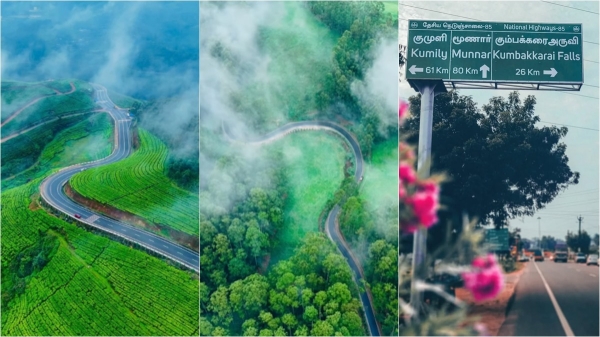 tour munnar travel tour munnar travel