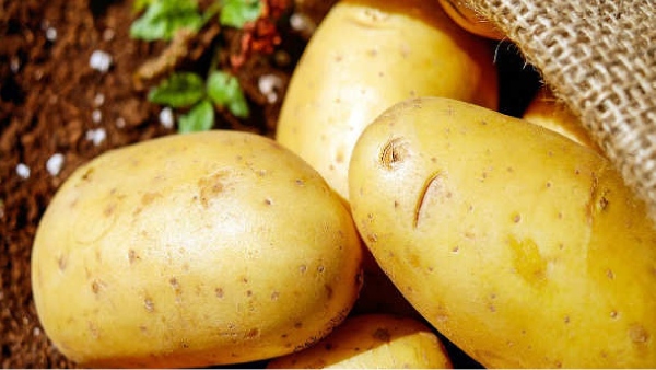 fridge potatoes refrigerator