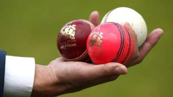 border gavaskar trophy india vs australia test match