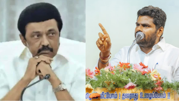 annamalai chennai crime