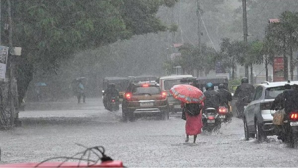 rain