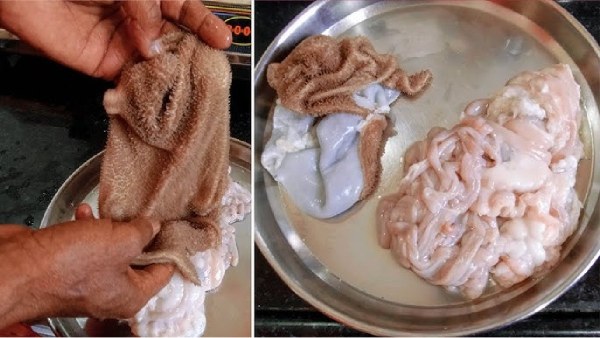 mutton intestine goat intestines stomach ulcers