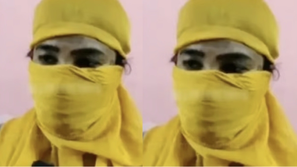 karnataka high court cat couple karnataka high court cat couple