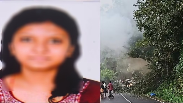 kerala elephant accident