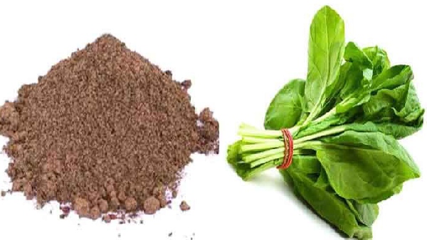 kasini keerai kasini leaves powder kidney stones