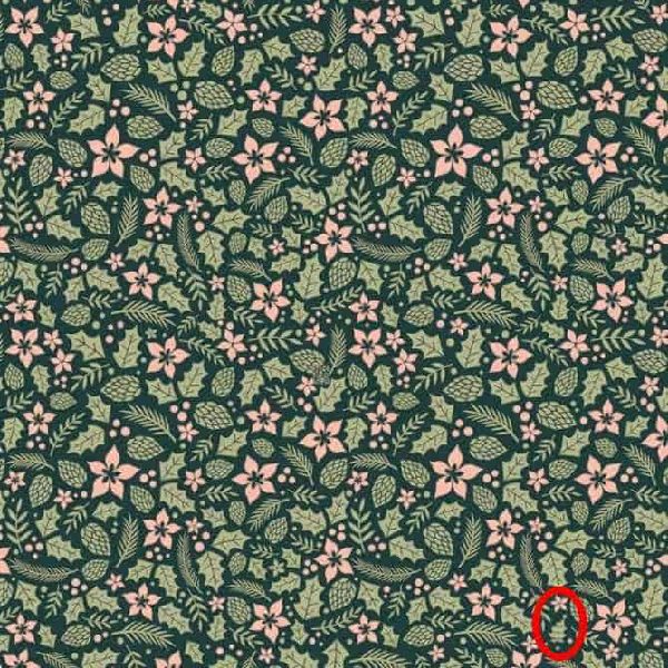 optical illusion offbeat trend