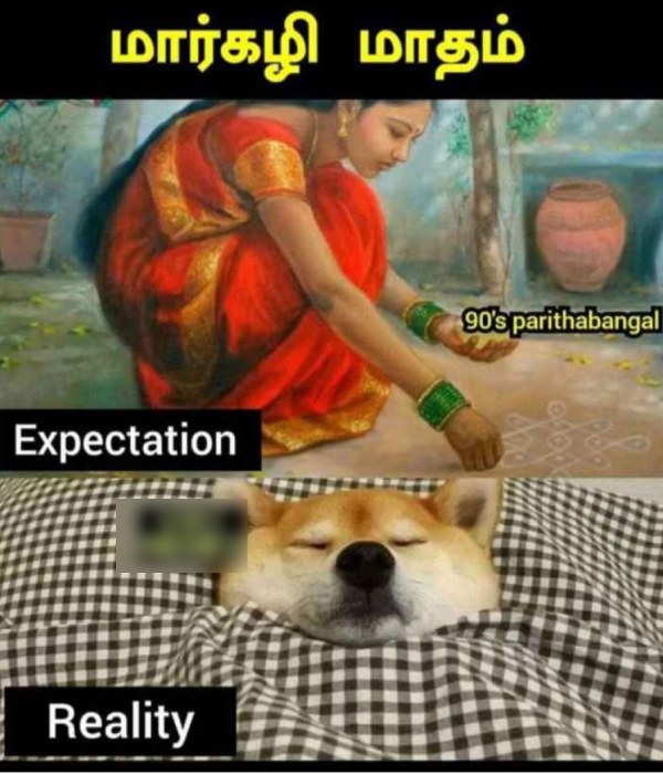 december margali memes