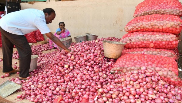 onion dindigul business