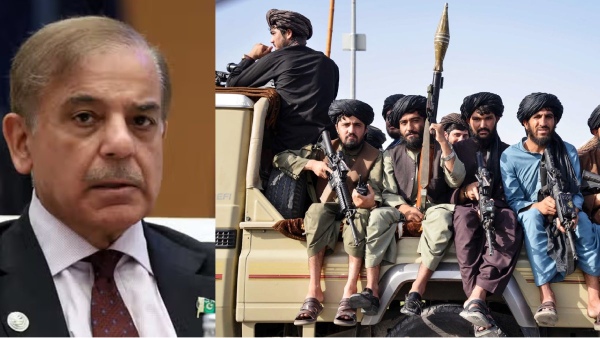 pakistan-pm-shehbaz-sharif-urges-taliban-government-in-afghanistan-to-act-against-ttp pakistan-pm-shehbaz-sharif-urges-taliban-government-in-afghanistan-to-act-against-ttp