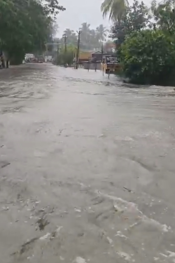 weather tirunelveli tenkasi weather tirunelveli tenkasi