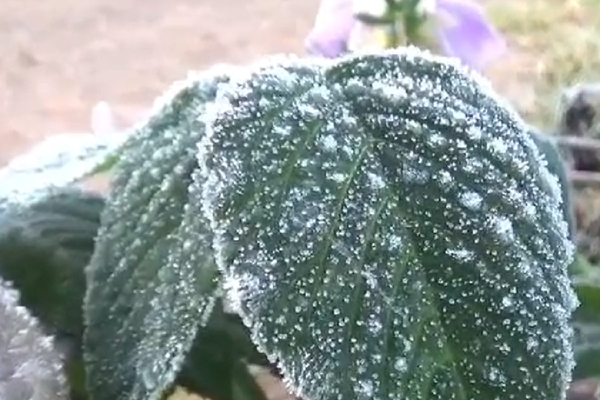 tour ooty