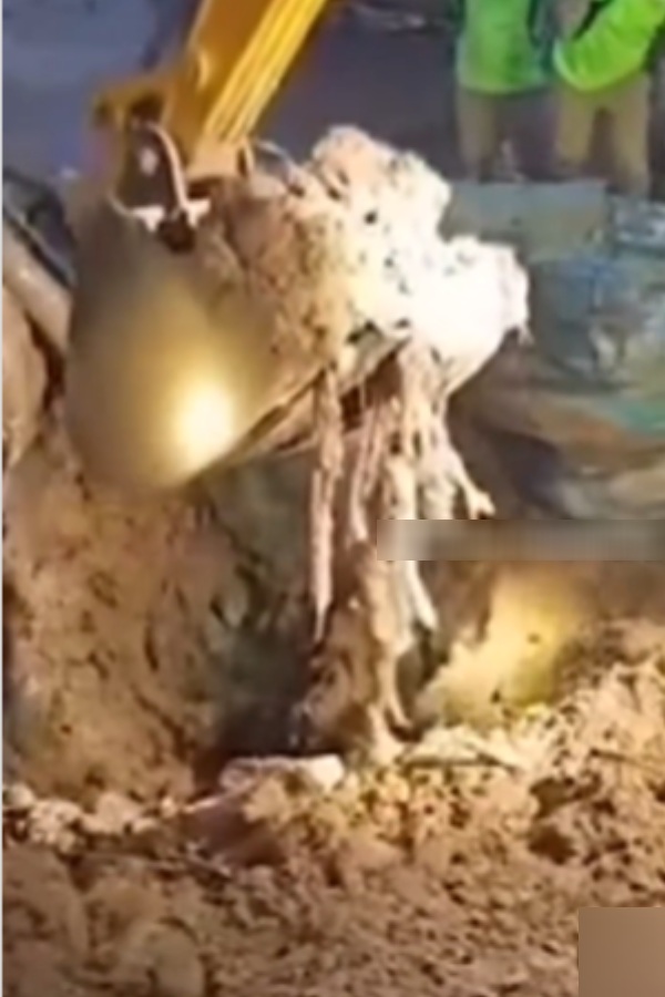 weather tamilnadu weatherman summer weather news