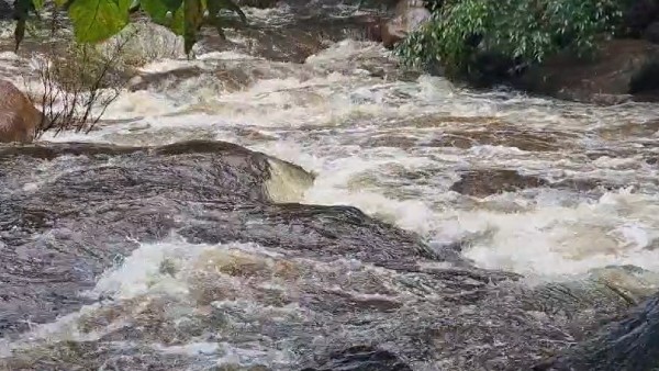 theni rain flood