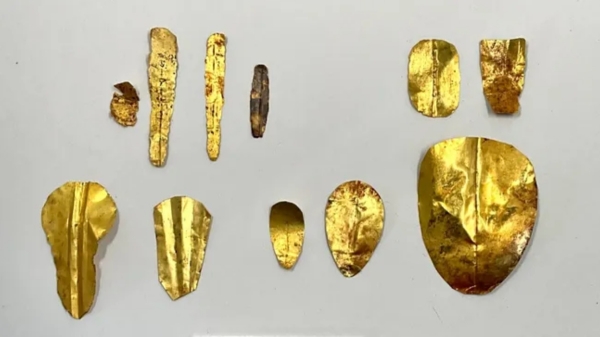 egypt mummy egypt mummy