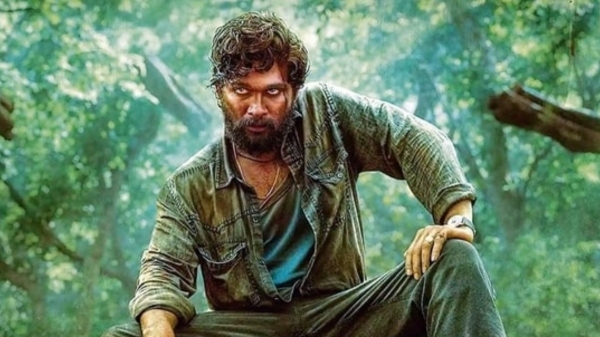 allu arjun pushpa 2 maharastra 2