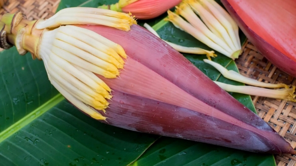 Banana flower Kidney Vaazhai poo
