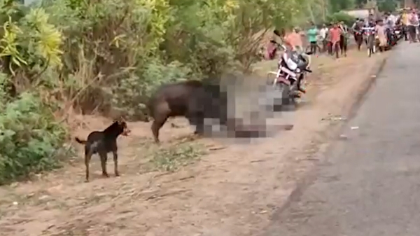 fact check virudhunagar video