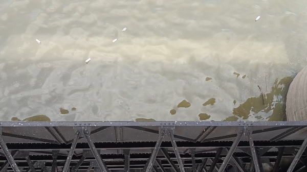 theni vaigai dam northeast monsoon