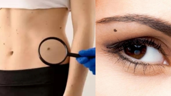 Spirituality mole macha sasthra