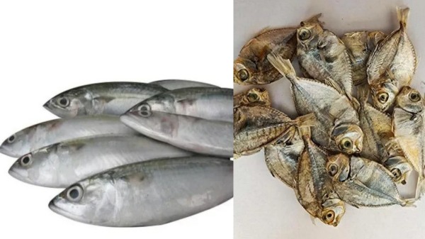 thondan fish thondan dry fish hair growth thondan fish thondan dry fish hair growth