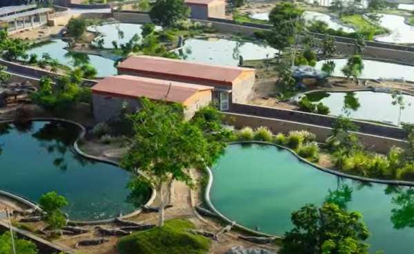 Anant Ambani Gujarat