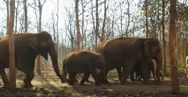 Anant Ambani Gujarat