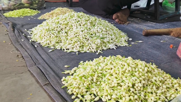 dindigul flower business dindigul flower business