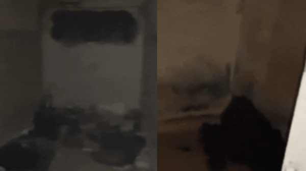 syria bashar al assad world