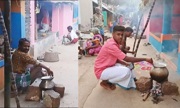 trichy pachaimalai sooriya pongal trichy pachaimalai sooriya pongal