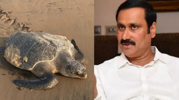 anbumani ramadoss pmk chennai