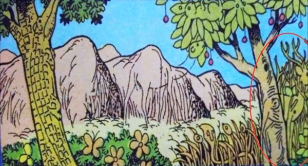 optical illusion offbeat trend