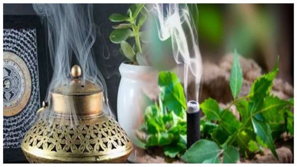 spirituality herbal sambirani mooligai sambrani