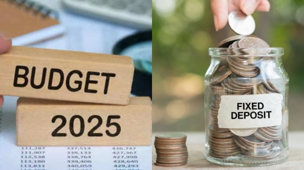 budget 2025 nirmala sitharaman delhi budget 2025 nirmala sitharaman delhi