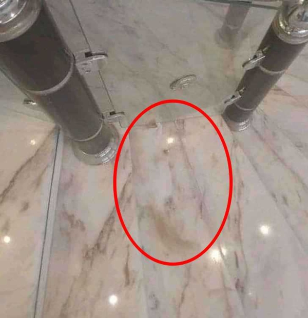 optical illusion offbeat trend optical illusion offbeat trend