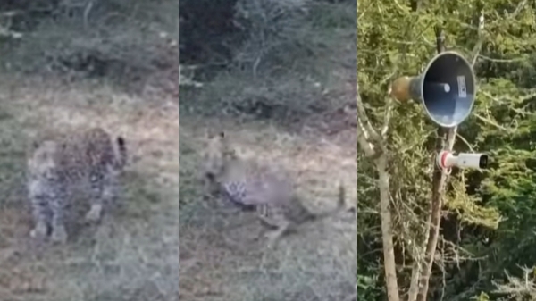 vellore ai camera gudiyatham vellore ai camera gudiyatham