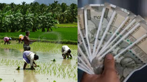 narendra modi pm kisan