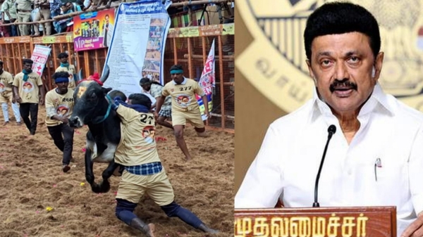 mk stalin jallikattu chennai mk stalin jallikattu chennai