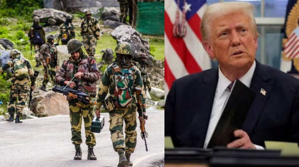 donald trump donald trump