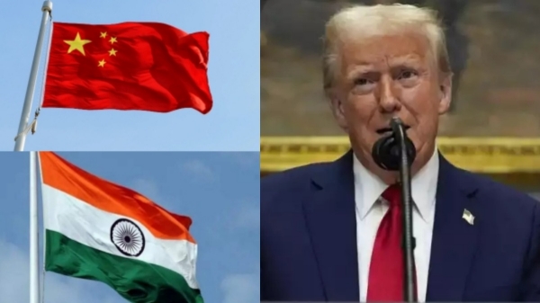 donald trump donald trump
